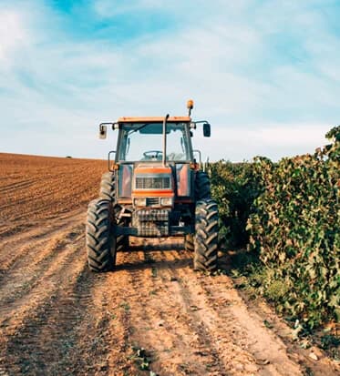 Why your public website now needs to feed the real farm platform