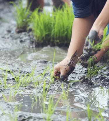 How predictive guidance becomes more useful with every season